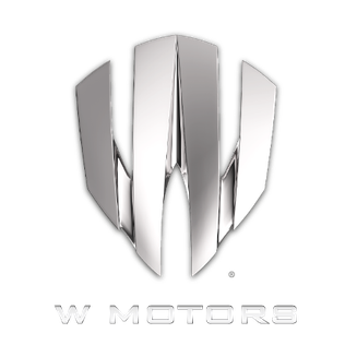 W Motors